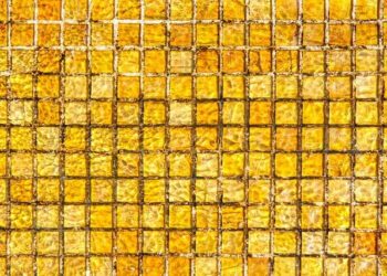 Basic-Fit ouvre une cinquième salle à Nantes, dans le passage Pommeraye – Ouest-France