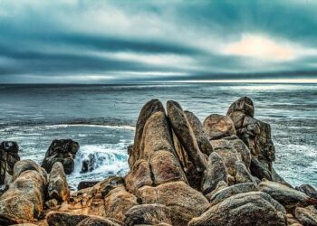 Proposer des postes alignés sur les valeurs personnelles, un business tendance pas encore en France – Le Point