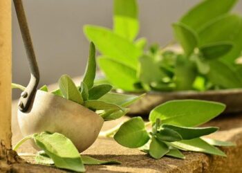 Éric le sage – Sony Music Entertainment France