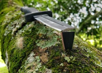 Poignardé dans le ventre à proximité d’un petit centre commercial, un homme dans un état critique – France 3 Régions