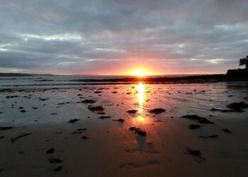 ENTRETIEN. Fête de la science : Les océans s’acidifient, l’ormeau nous le dit – Ouest-France
