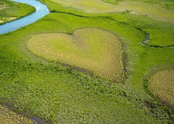 ENQUÊTE. « L’impression d’être en labo » : à Lyon, le centre de formation de l’OL dans la tourmente – Ouest-France