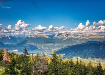 Annecy Festival 2024 : Le Japon envahit la programmation – Crunchyroll