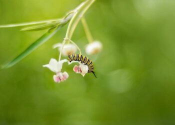 Tous nos outils pour piloter votre transformation digitale – KPMG