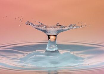 Des impacts de balles sur une porte à Nantes, des douilles au sol, mais aucun blessé – Ouest-France