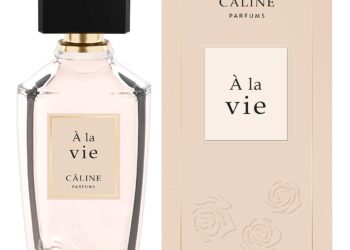 « 80 % des entreprises qui prennent un VIE arrivent à développer leur CA à l’international » – Le Dauphiné Libéré