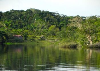 Amazon en France: une entreprise engagée pour l’économie, l’environnement et la société – Amazon.fr