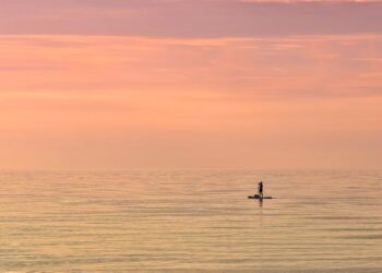 Stand Up for Science France : « Pourquoi je me mobilise » – The Conversation France