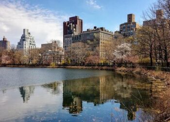 La Guadeloupéenne Jacqueline Manicom donne son nom à une école à Paris – Outre-mer la 1ère