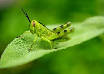 Hopper et Vermeer, peintres de l’intime : un film révèle les liens inattendus entre les deux artistes – Connaissance des Arts