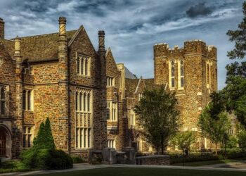 Je consulte les menus des écoles et centres de loisirs – Montpellier.fr