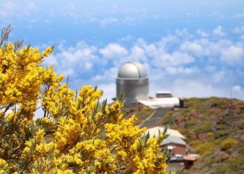 Fête de la science 2024 : plonger dans un océan de savoirs – Campus France