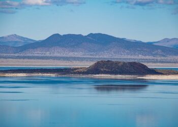 Californie, Île aux sports, Bruyères : des balades pour réfléchir à l’avenir des trois sites du Mans – Ouest-France