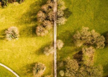 Irlande – France. Les Bleus perdent Dupont mais corrigent les Irlandais, le Tournoi relancé – Ouest-France