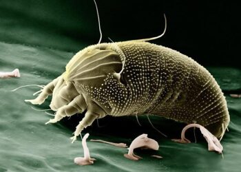 « Défendons les sciences face aux nouveaux obscurantismes » – Le Monde « Défendons les sciences face aux nouveaux obscurantismes » – Le Monde