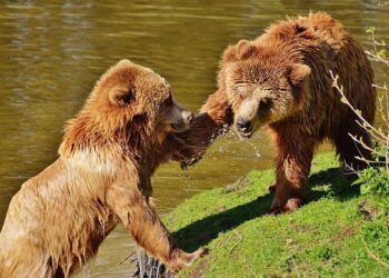 Il gifle sa fille de 3 ans en pleine rue, les gendarmes l’interpellent – Ouest-France