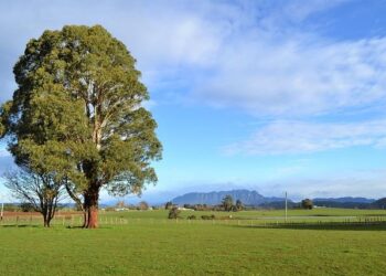 Johanna Rolland reçoit l’Ambassadeur d’Ukraine en France : « Nantes est à vos côtés » – Actu44