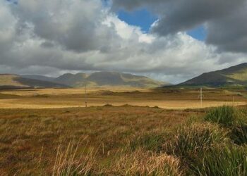 Irlande 27-42 France : « Les Bleus ont massacré le Trèfle devant » analyse Charvet – RMC Sport