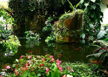 MÉTÉO. Les parcs, jardins, cimetières et certaines plages de Nice fermés ce dimanche en raison des risques pluie-inondations – France 3 Régions