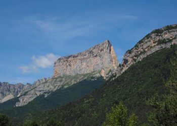 XV de France : Antoine Dupont annonce souffrir d’une rupture des ligaments croisés du genou droit – ici, le média de la vie locale XV de France : Antoine Dupont annonce souffrir d’une rupture des ligaments croisés du genou droit – ici, le média de la vie locale