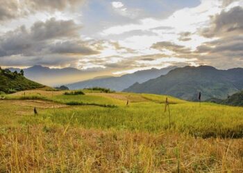 La science comme « bien commun » : les chercheurs français se mobilisent – Pharmaceutiques