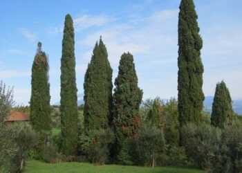 Paris-Nice 2025 : Tim Merlier signe le doublé en remportant la deuxième étape devant les Français Emilien Jeannière et Hugo Page – franceinfo Paris-Nice 2025 : Tim Merlier signe le doublé en remportant la deuxième étape devant les Français Emilien Jeannière et Hugo Page – franceinfo