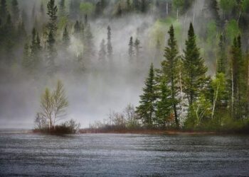 Adaptation de la France au changement climatique: ce qu’il faut retenir du plan final – RFI