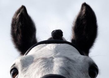 États-Unis : « Ça me met tellement en colère », s’insurge un scientifique viré par l’administration Trump – France Inter