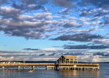 Gregor Townsend craint l’équipe de France et estime qu’elle est « à l’image de ce que fait Toulouse » – Minute Rugby