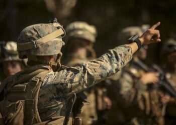 Les corps de deux femmes quinquagénaires retrouvés près de Lille, une enquête a été ouverte – France 3 Régions