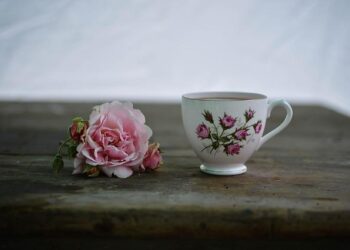 Table ronde climat à Lyon – Amnesty International France