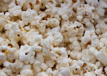 Cinéma japonais : le bilan des sorties 2024 en France – Journal du Japon