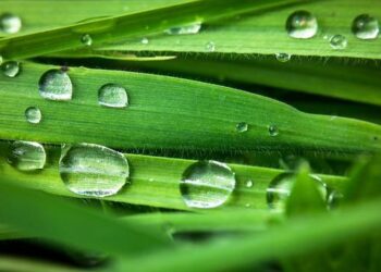 Tensions France-Algérie: le consulat d’Algérie à Nice rompt ses relations avec la Ville – Nice matin