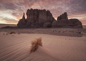 Le consulat d’Algérie à Nice rompt ses relations avec la ville, Estrosi et Ciotti appellent à la fermeté – BFM Nice Côte d’Azur