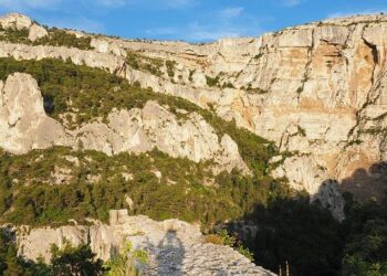 Grandchamp-des-Fontaines. Trois athlètes sélectionnés aux Championnats de France – Nantes Maville