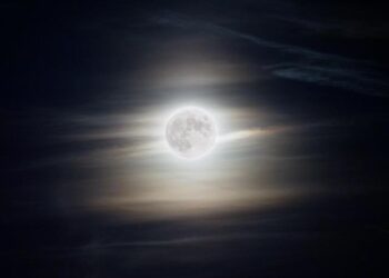 « Pourquoi on devrait subir ça ? » : à Marseille, la décision de fermer les épiceries de nuit entre 22h et 6h divise commerçants et habitants – franceinfo