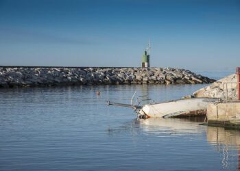Sabotage de la Science : La France Soutient les USA – ViralMag.fr