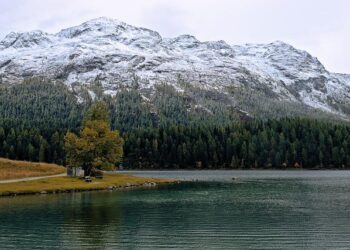 St Etienne – Marseille : à quelle heure et sur quelle chaîne regarder le match de Coupe de France en direct ? – RMC Sport