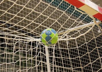 Handball. La France bat le Danemark et plébiscite Lyon – Le Progrès Handball. La France bat le Danemark et plébiscite Lyon – Le Progrès