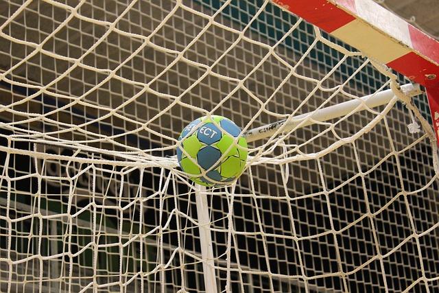 Handball. La France bat le Danemark et plébiscite Lyon – Le Progrès