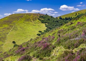 Entre Le Puy et Montpellier, les liaisons chaleureuses – L’Équipe