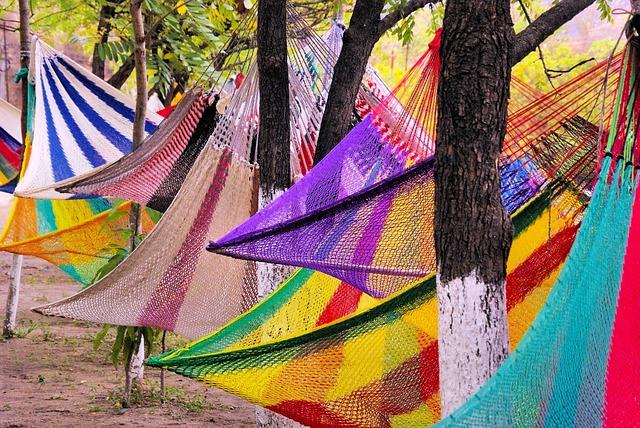 Le rôle de lentretien des arbres en milieu urbain