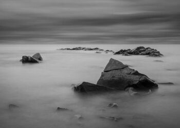 L’activité cérébrale d’une mère et celle de son bébé peuvent se synchroniser – France Culture