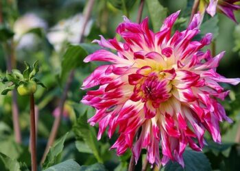 La France, l’Italie et le Royaume-Uni commandent plus de 200 missiles antiaériens Aster avec une livraison accélérée – Le Monde