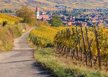 Vos idées de sorties en Alsace pour le week-end des 15 et 16 mars 2025 – ici, le média de la vie locale