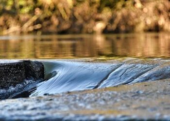 « Il faut imaginer des nageurs qui avalent cinquante mètres en moins de quinze secondes ! » Les championnats de France de sports subaquatiques auront lieu à Limoges – France 3 Régions