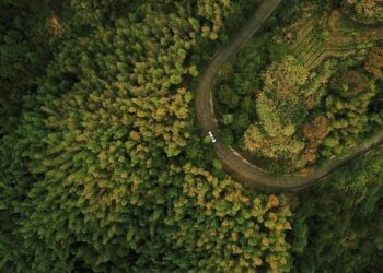 À la prison de Brest, son business entretenu par des drones lui rapporterait 5 000 € par semaine – Ouest-France