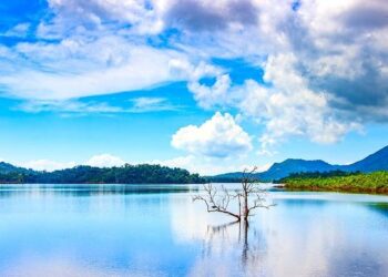 34e Festival du cinéma espagnol de Nantes, une édition « de résistance” – France 3 Régions