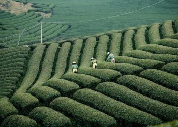 Moqueries, humiliations… À Marseille, des enfants dénoncent des faits de maltraitance à la cantine – Ouest-France