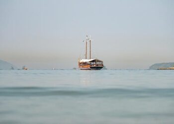 Foulques Chombart de Lauwe accuse Nantes université « d’inaction » – France Live